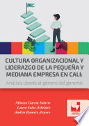 Cultura organizacional y liderazgo de la pequeña y mediana empresa en Cali, Análisis desde el género del gerente