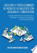 Creación y fortalecimiento de modelos de negocios con resiliencia e innovación, Soluciones empresariales actualizadas para la reinvención y el desarrollo de herramientas de apoyo en sistematización